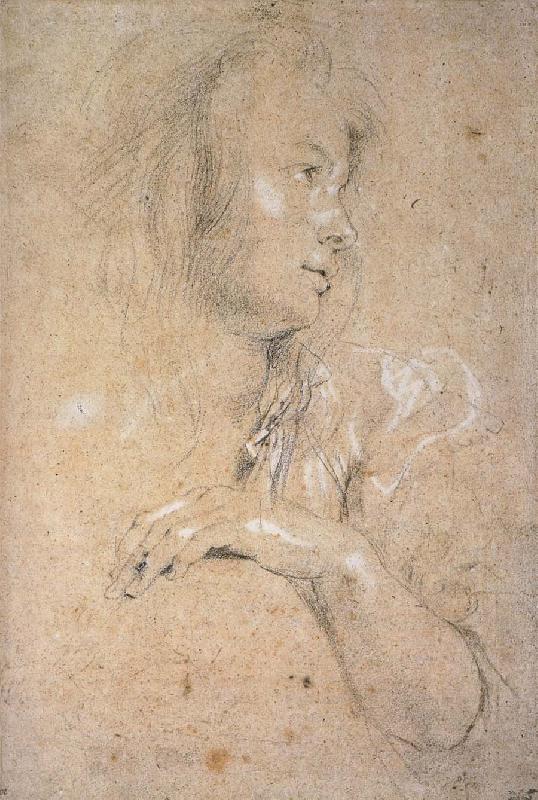 Peter Paul Rubens Study of Head oil painting image